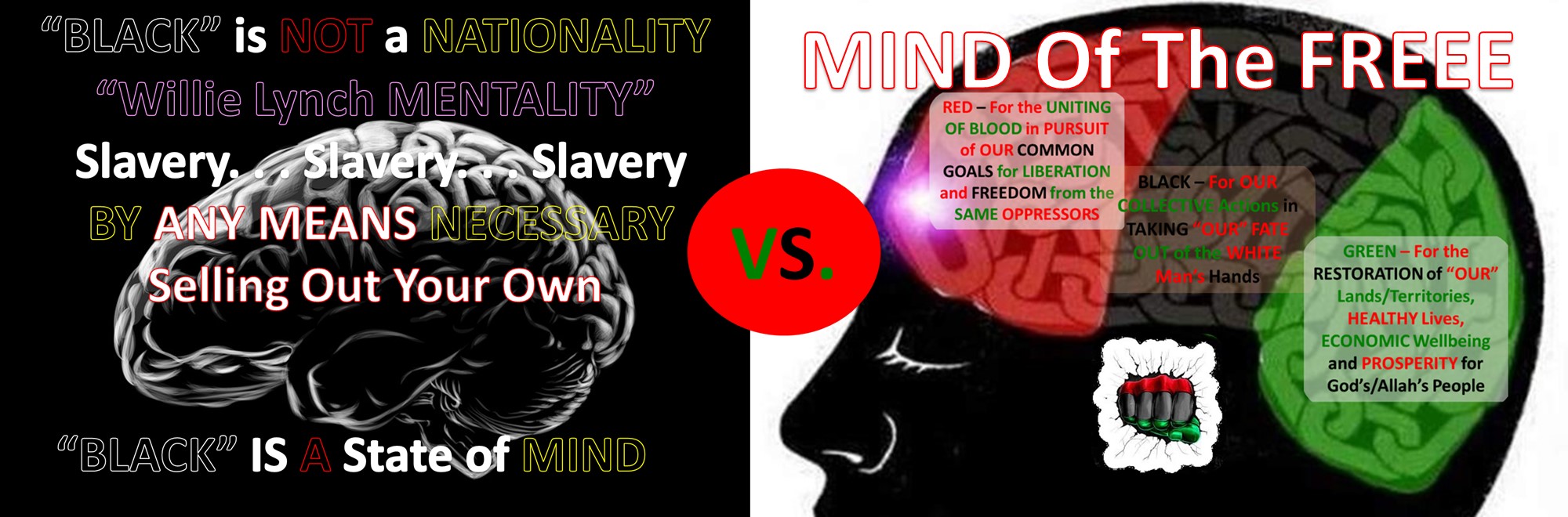 BLACK SLAVE Mind vs The FREE Mind
