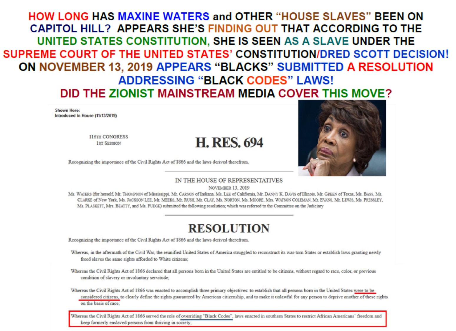 US House Of Representatives BLACK CODES Resolution