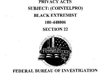 Document: [FBI CoIntelPro Against BLACK Extremists Section 22]