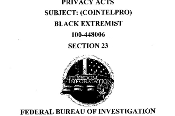Document: [FBI CoIntelPro Against BLACK Extremists Section 23]